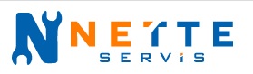 netteservis logo